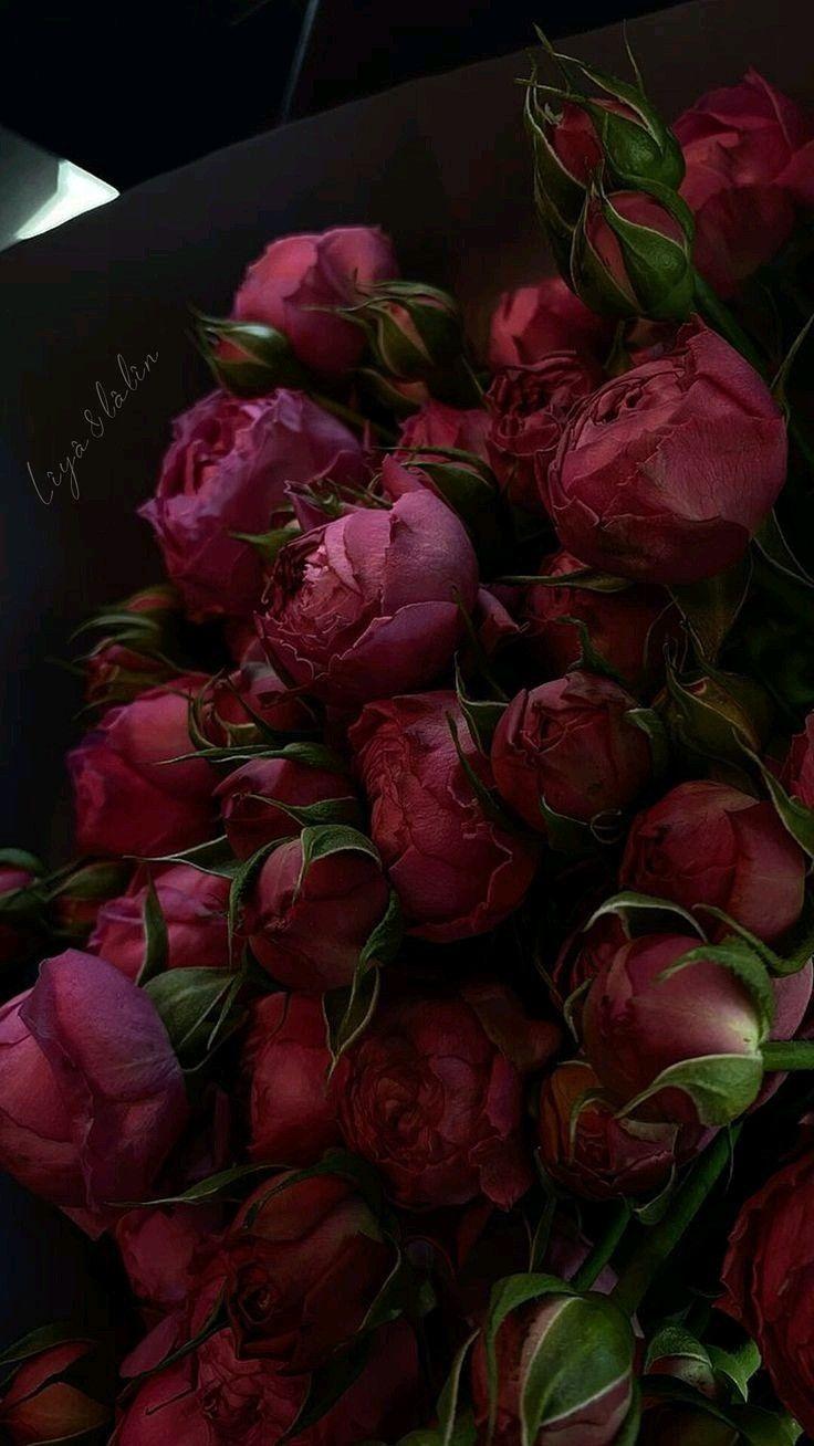 Whispers of Dawn Floral Array